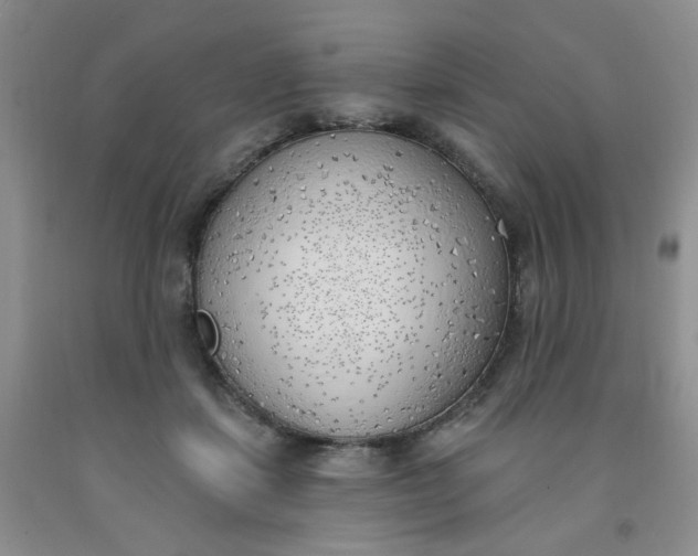 X0000091970459200709201408