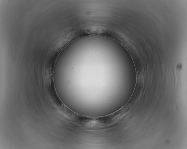 X0000091970460200709201408