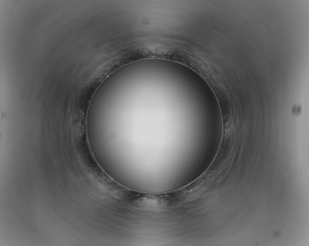 X0000091970464200709201409