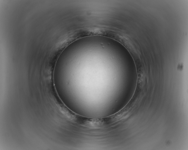 X0000091970466200709201409