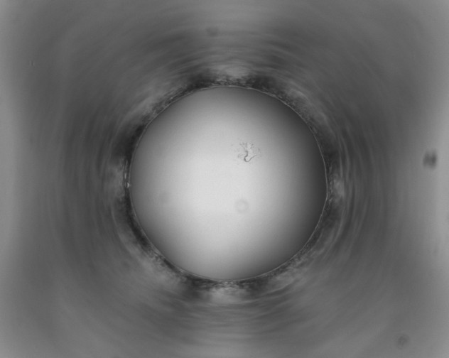 X0000091970468200709201409