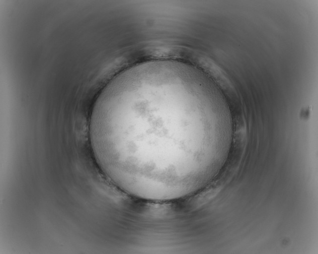 X0000091970469200709201409
