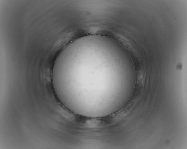 X0000091970470200709201409