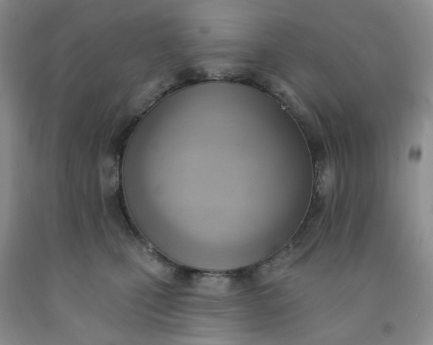 X0000091970471200709201409