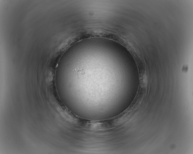 X0000091970472200709201409