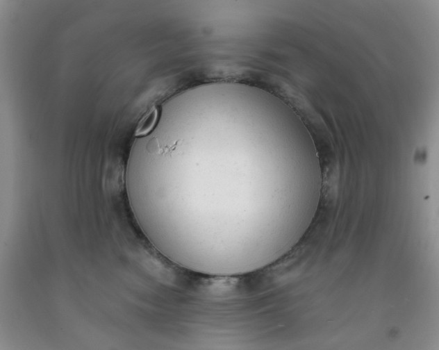 X0000091970474200709201409