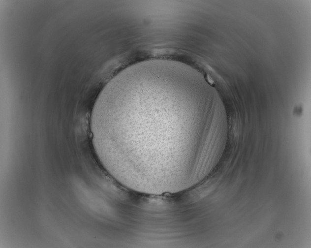 X0000091970475200709201409