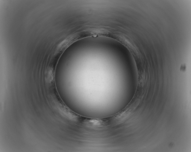 X0000091970478200709201409