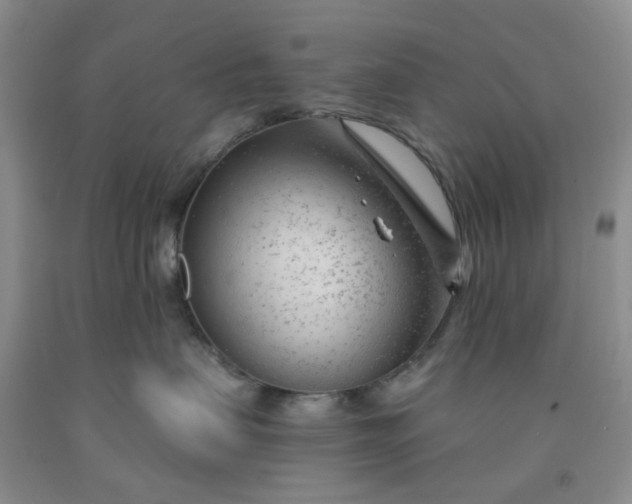 X0000091970479200709201409