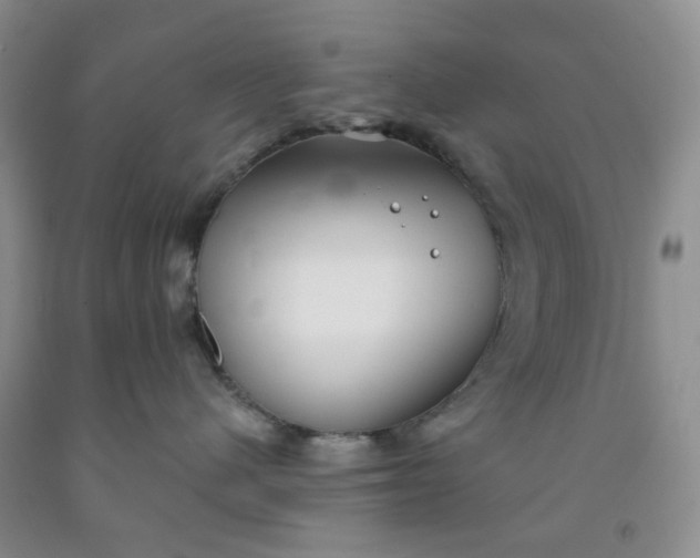 X0000091970480200709201409