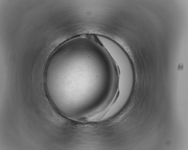 X0000091970481200709201408