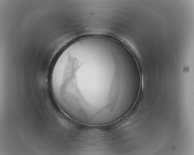 X0000091970483200709201408
