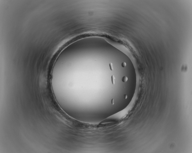 X0000091970484200709201408