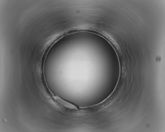 X0000091970485200709201408