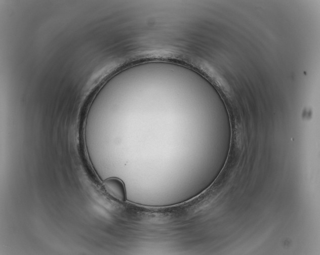 X0000091970486200709201408