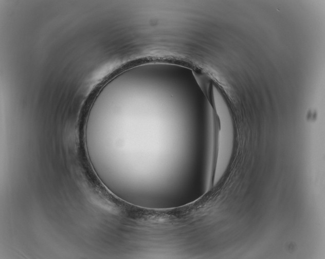 X0000091970488200709201408