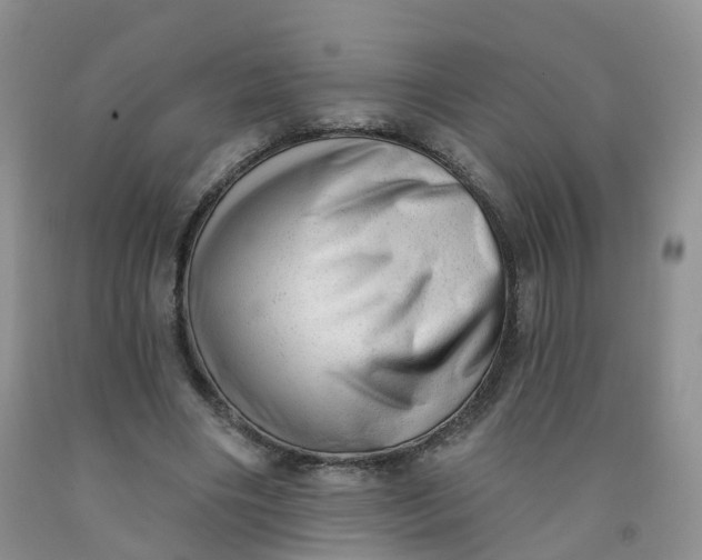 X0000091970490200709201408