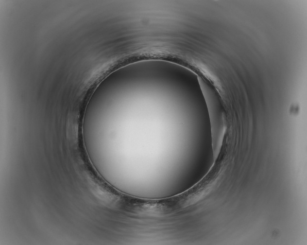 X0000091970493200709201408