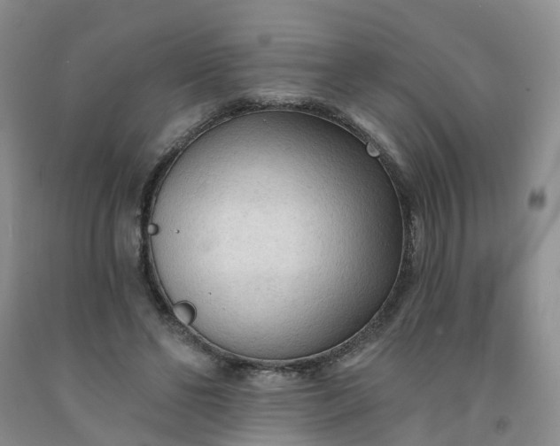 X0000091970494200709201408