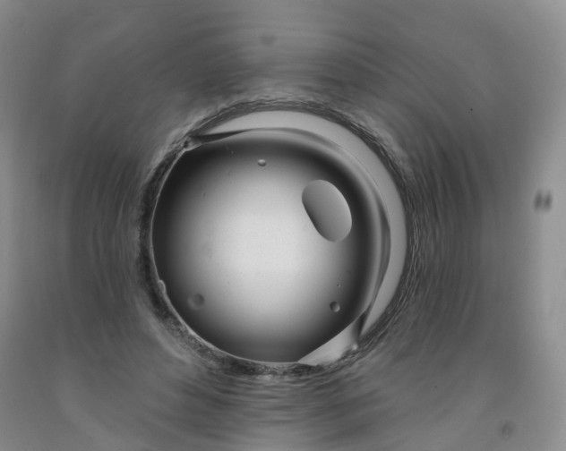 X0000091970496200709201408