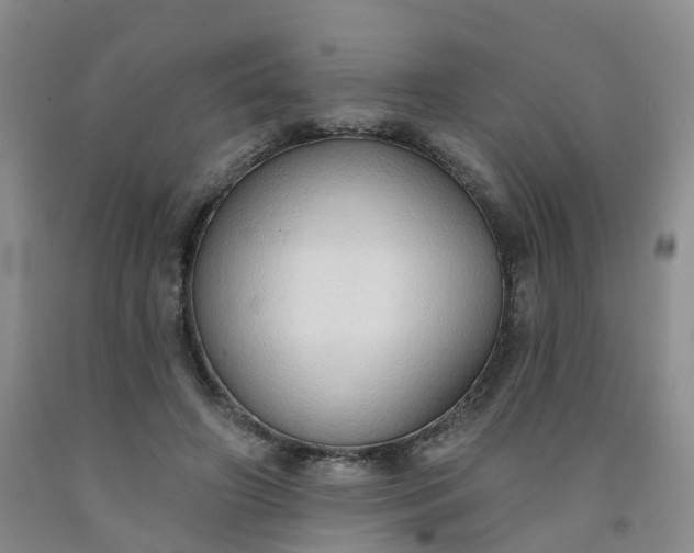 X0000091970498200709201408