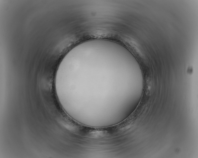 X0000091970499200709201408