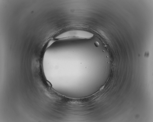 X0000091970500200709201408