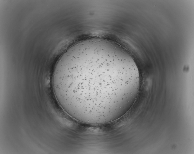 X0000091970502200709201408