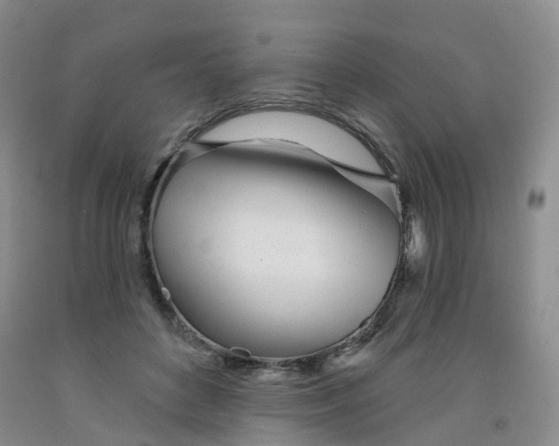 X0000091970504200709201408