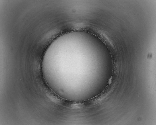 X0000091970505200709201408