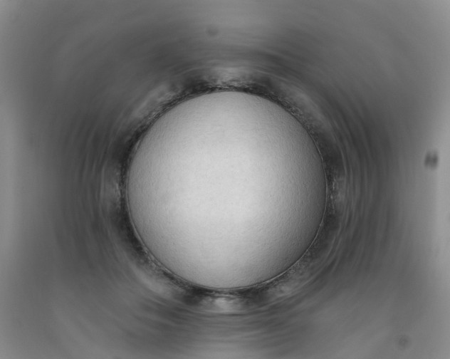 X0000091970506200709201408