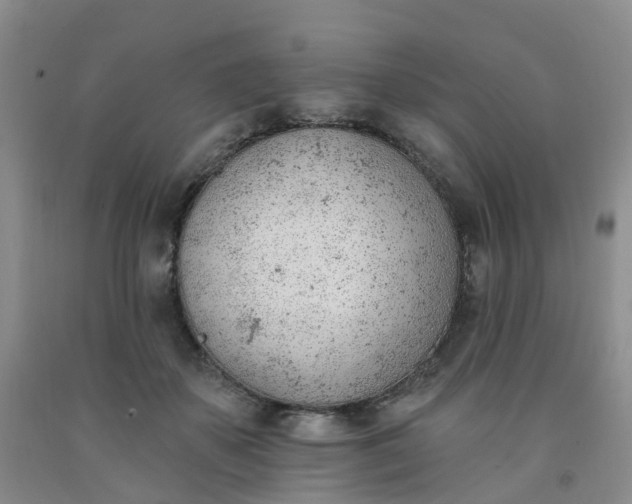 X0000091970507200709201408