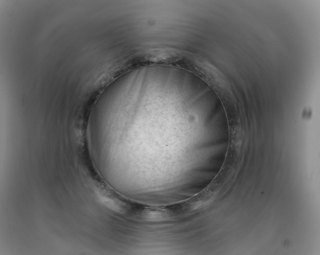 X0000091970510200709201408