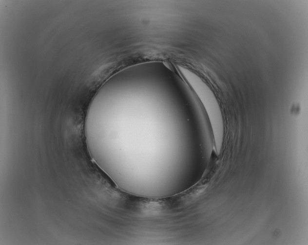 X0000091970513200709201408