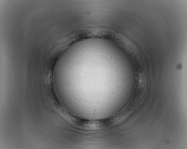 X0000091970514200709201408