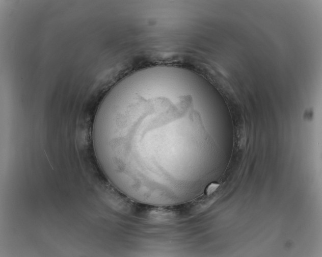 X0000091970515200709201408