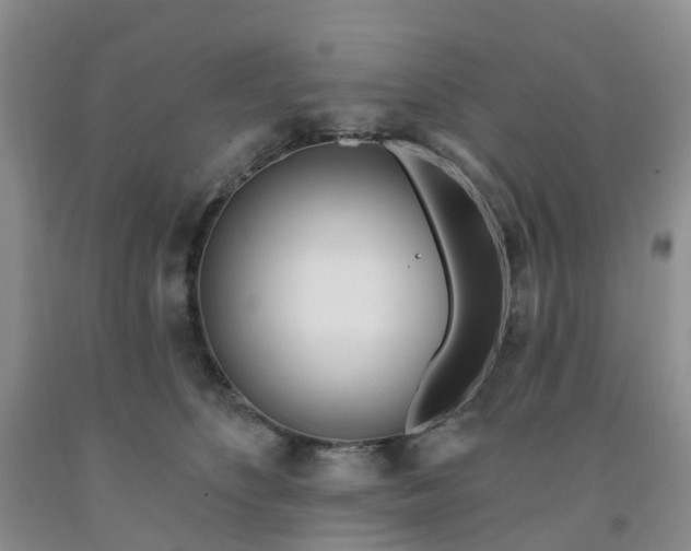 X0000091970516200709201408