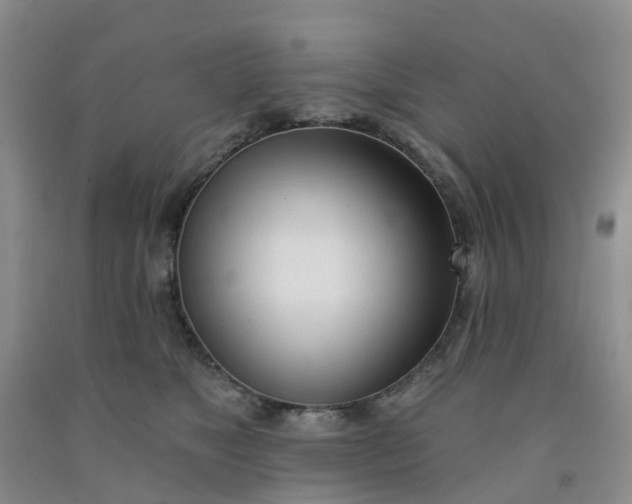 X0000091970517200709201408