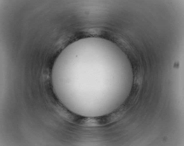 X0000091970518200709201408