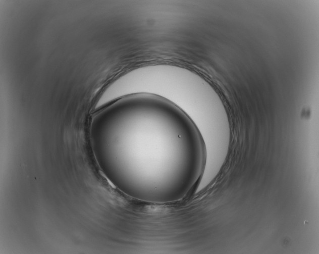 X0000091970520200709201408