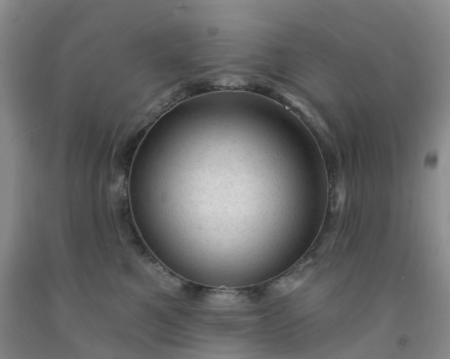 X0000091970521200709201408