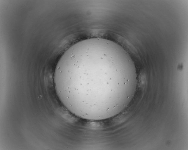 X0000091970522200709201408