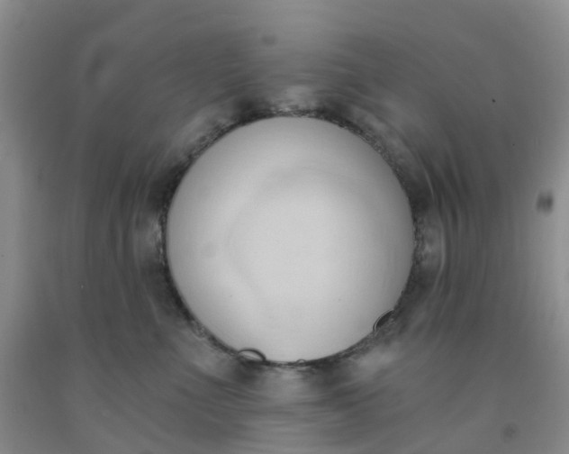 X0000091970523200709201408