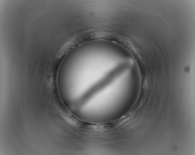 X0000091970524200709201408