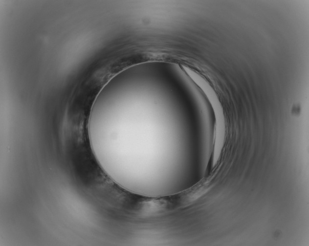 X0000091970525200709201408