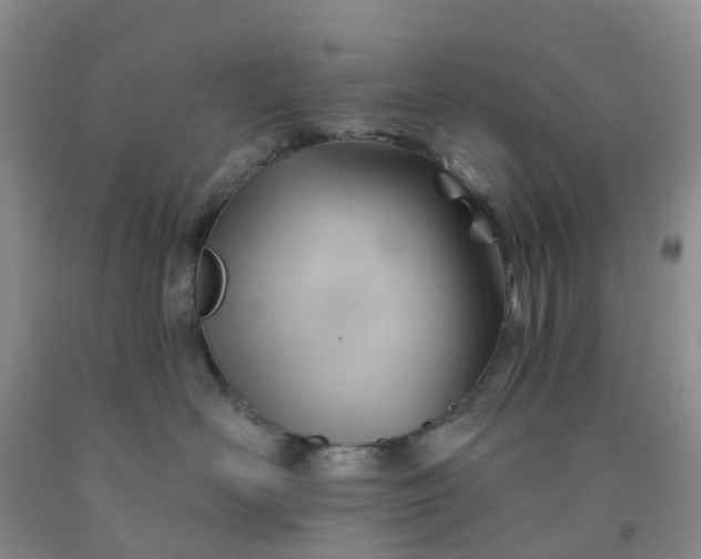 X0000091970526200709201408