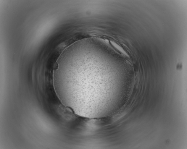 X0000091970527200709201408
