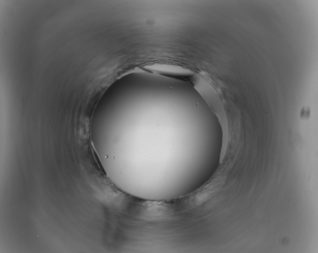 X0000091970528200709201408