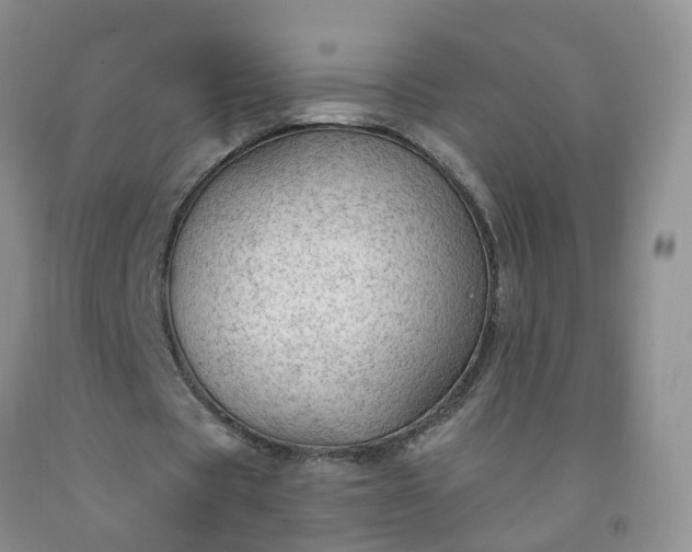 X0000091970529200709201407