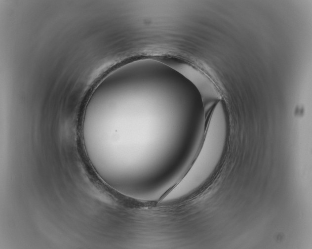 X0000091970530200709201407